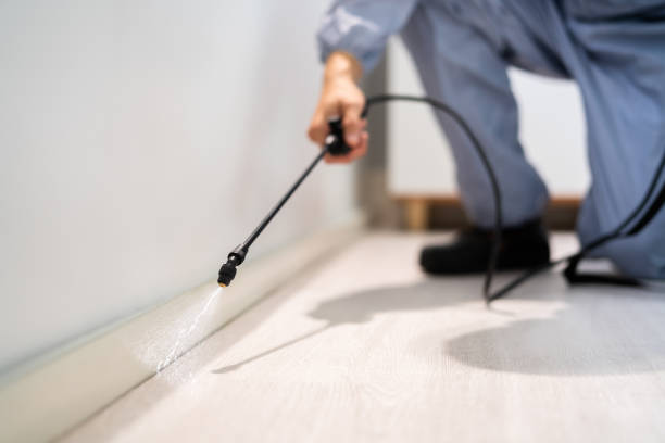 Licensed Termite Control service in Cooke County County, TX - Nex Pest Control